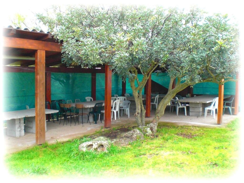 Agriturismo Pentuma Chiaramonti Exteriér fotografie