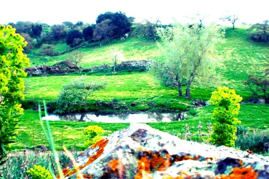 Agriturismo Pentuma Chiaramonti Exteriér fotografie