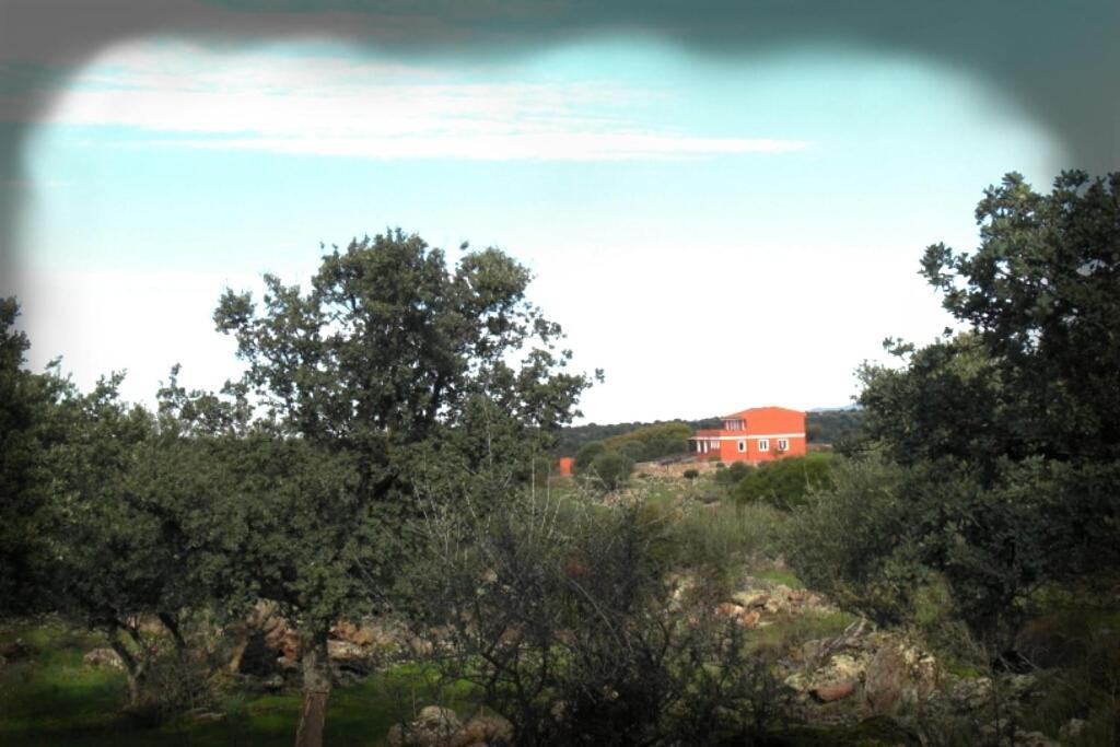 Agriturismo Pentuma Chiaramonti Exteriér fotografie