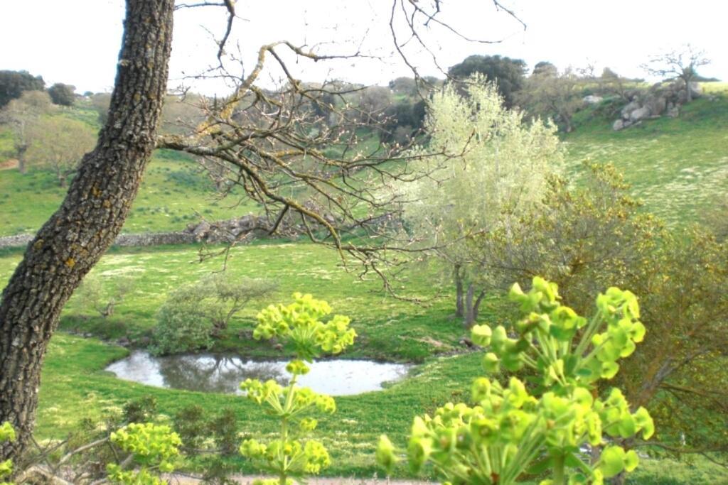 Agriturismo Pentuma Chiaramonti Exteriér fotografie