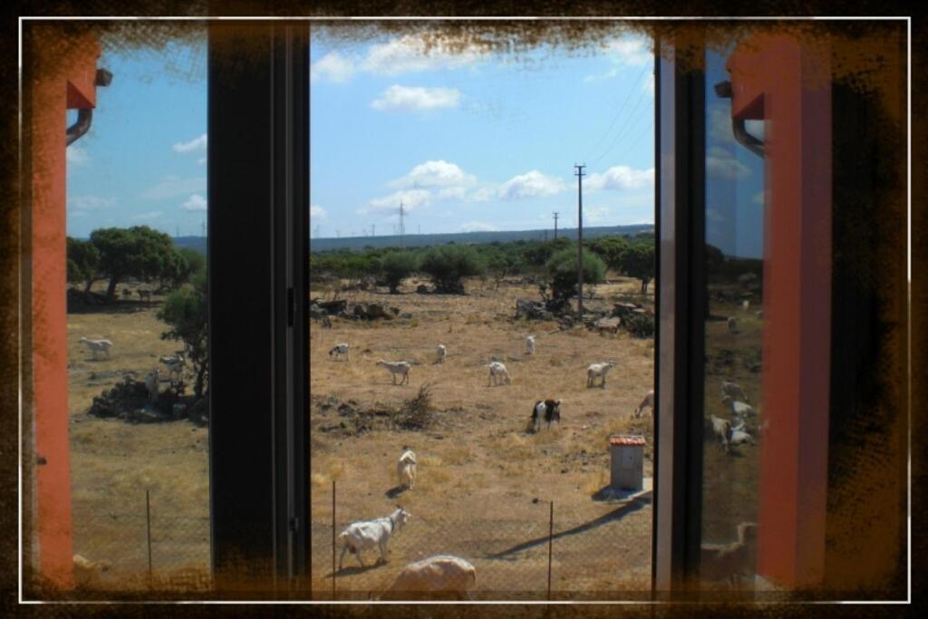 Agriturismo Pentuma Chiaramonti Pokoj fotografie
